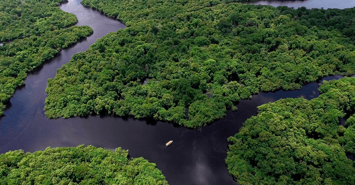 40 Anos do Tratado de Cooperação Amazônica