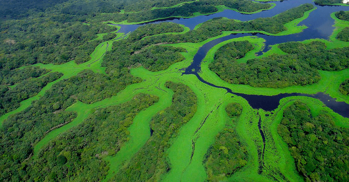 Dia 5 de setembro e a Amazônia